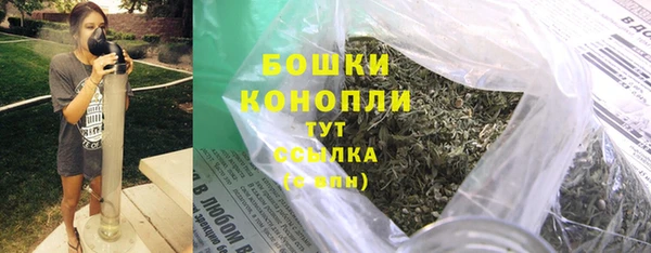ешки Протвино