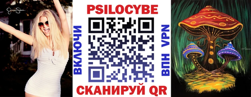 Псилоцибиновые грибы Cubensis Шуя